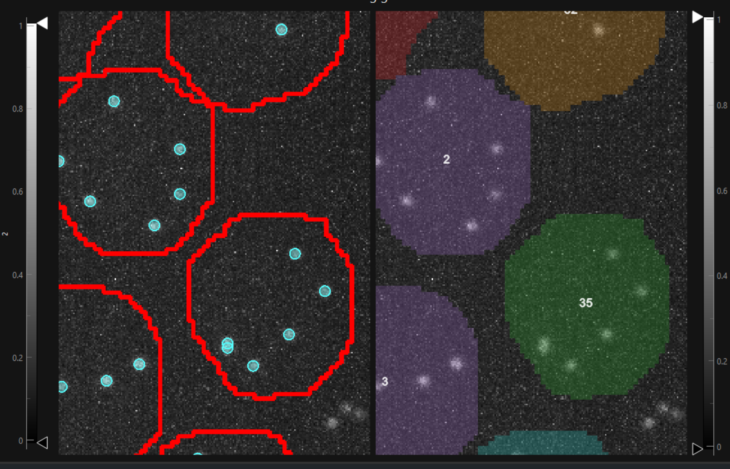 _images/C_elegans_halo.png