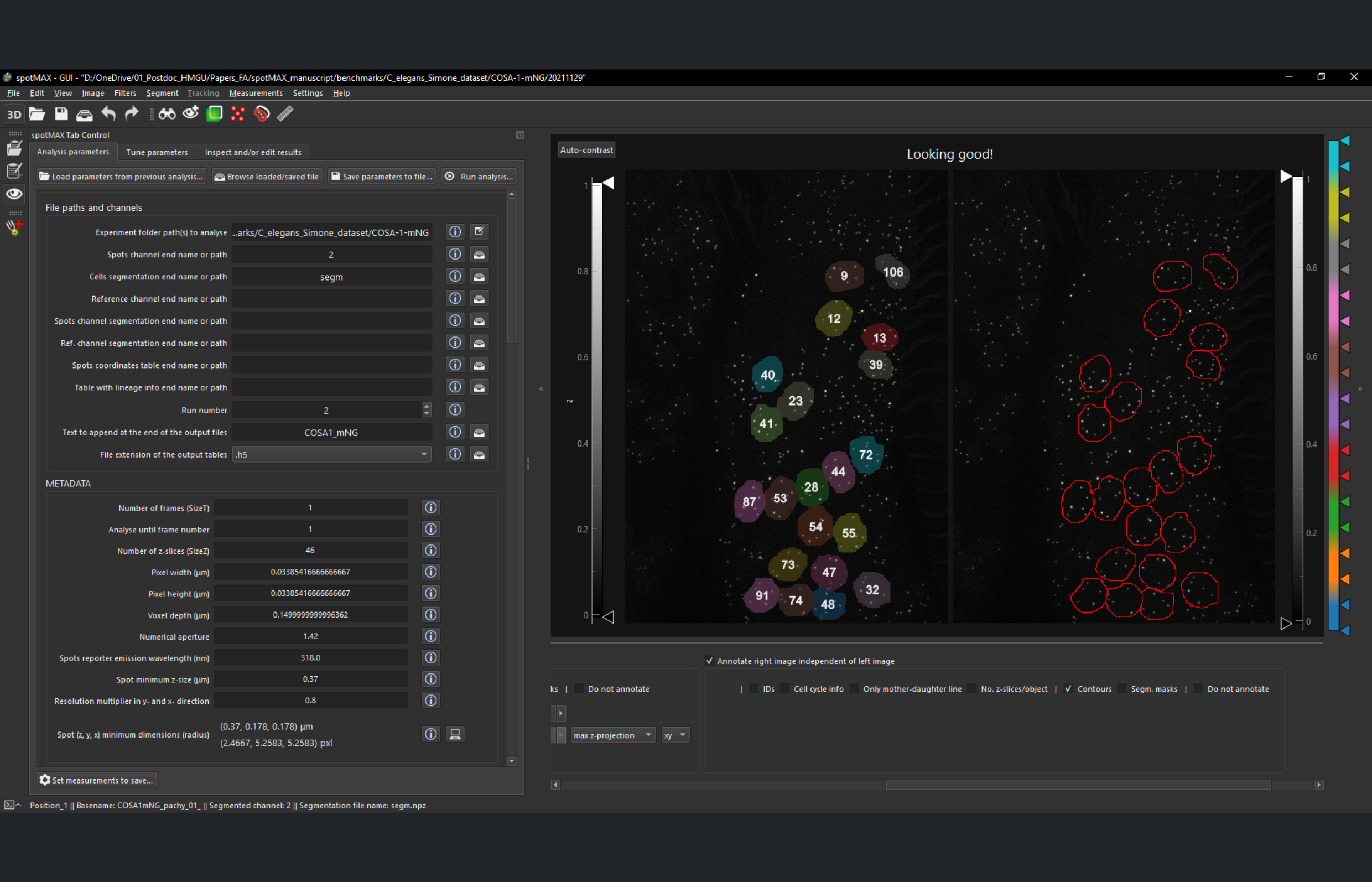 _images/spotmax_GUI.png